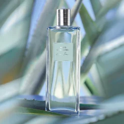 Eau de Toilette Agave Power Men's Collection 100 ml.