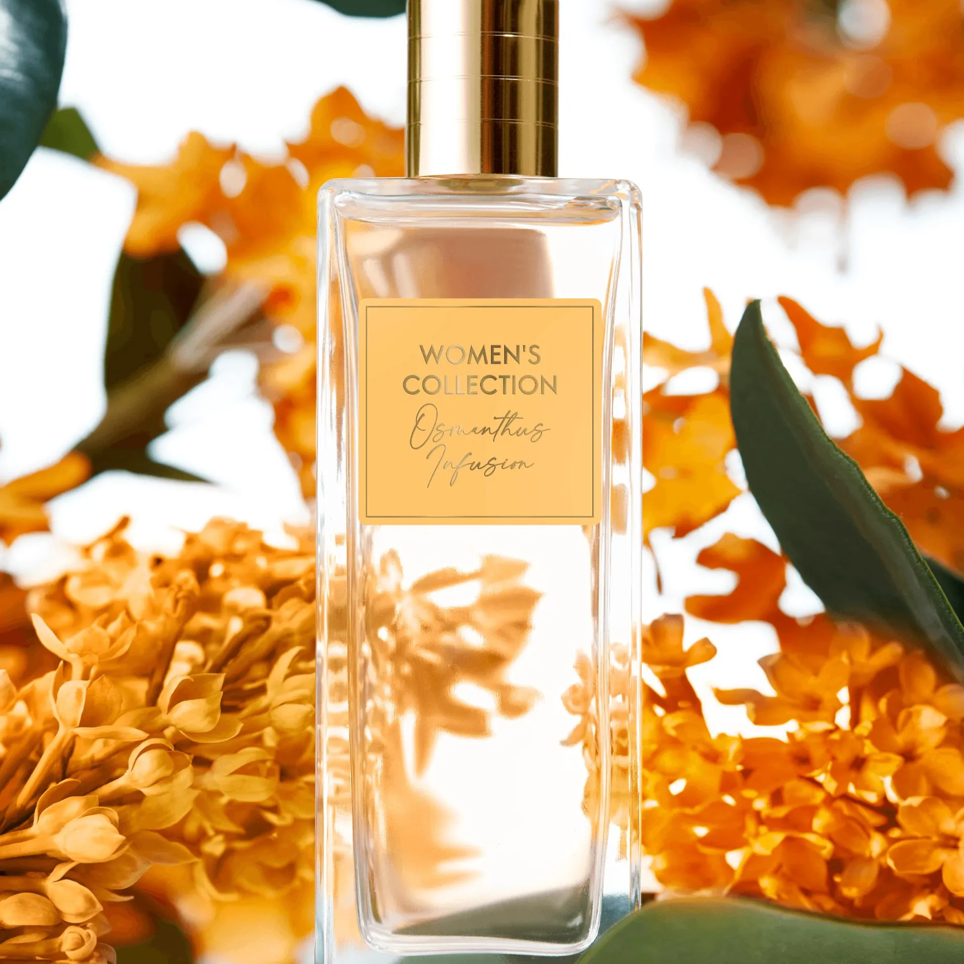 Eau de Toilette Osmanthus Infusion Women's Collection 50 ml.