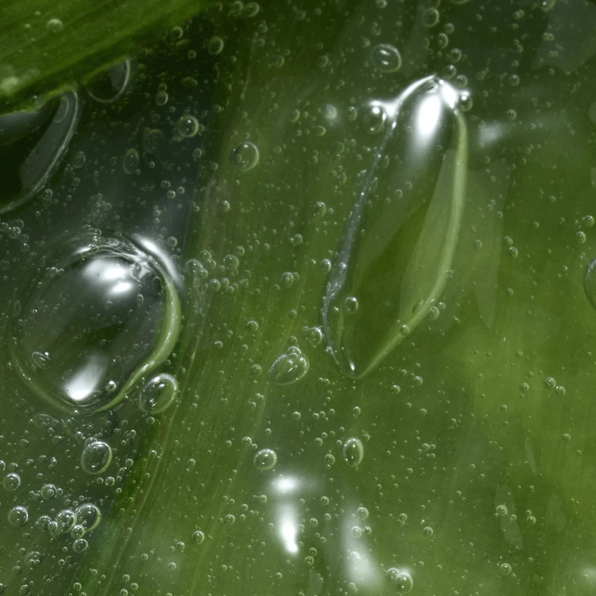 Gel Depilatório Suavizante com Aloe Vera Feminelle 150 ml.