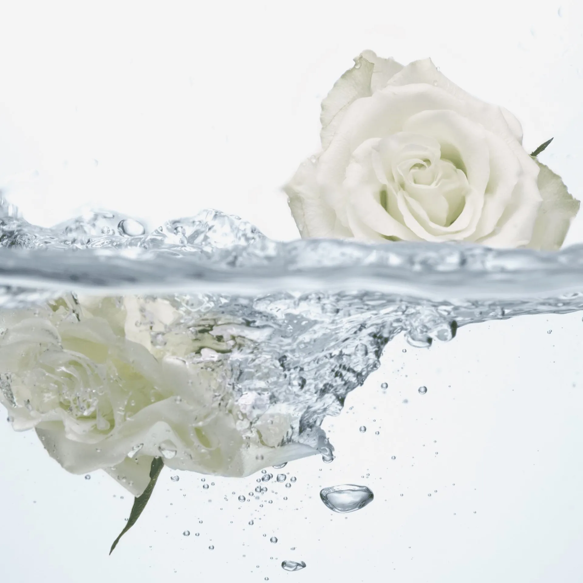 Lavagem Íntima Refrescante com Água de Rosas Feminelle 300 ml.