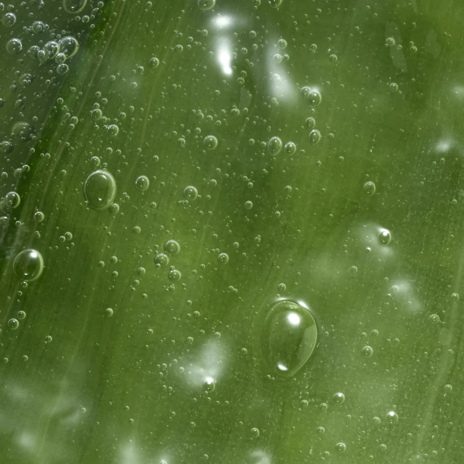Lavagem Íntima Suavizante com Aloe Vera Feminelle 300 ml.